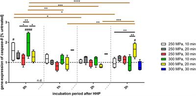 Effect of High Hydrostatic Pressure on Human Trabecular Bone Regarding Cell Death and Matrix Integrity